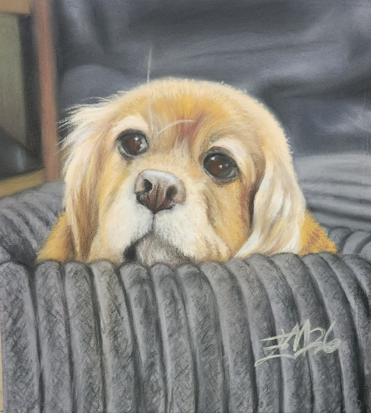 Commission of Teddy in Pastels
