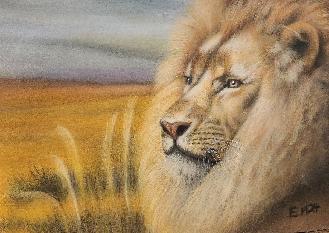 Exhibiting the King of the Savannah in the 67th Tumut Art Show