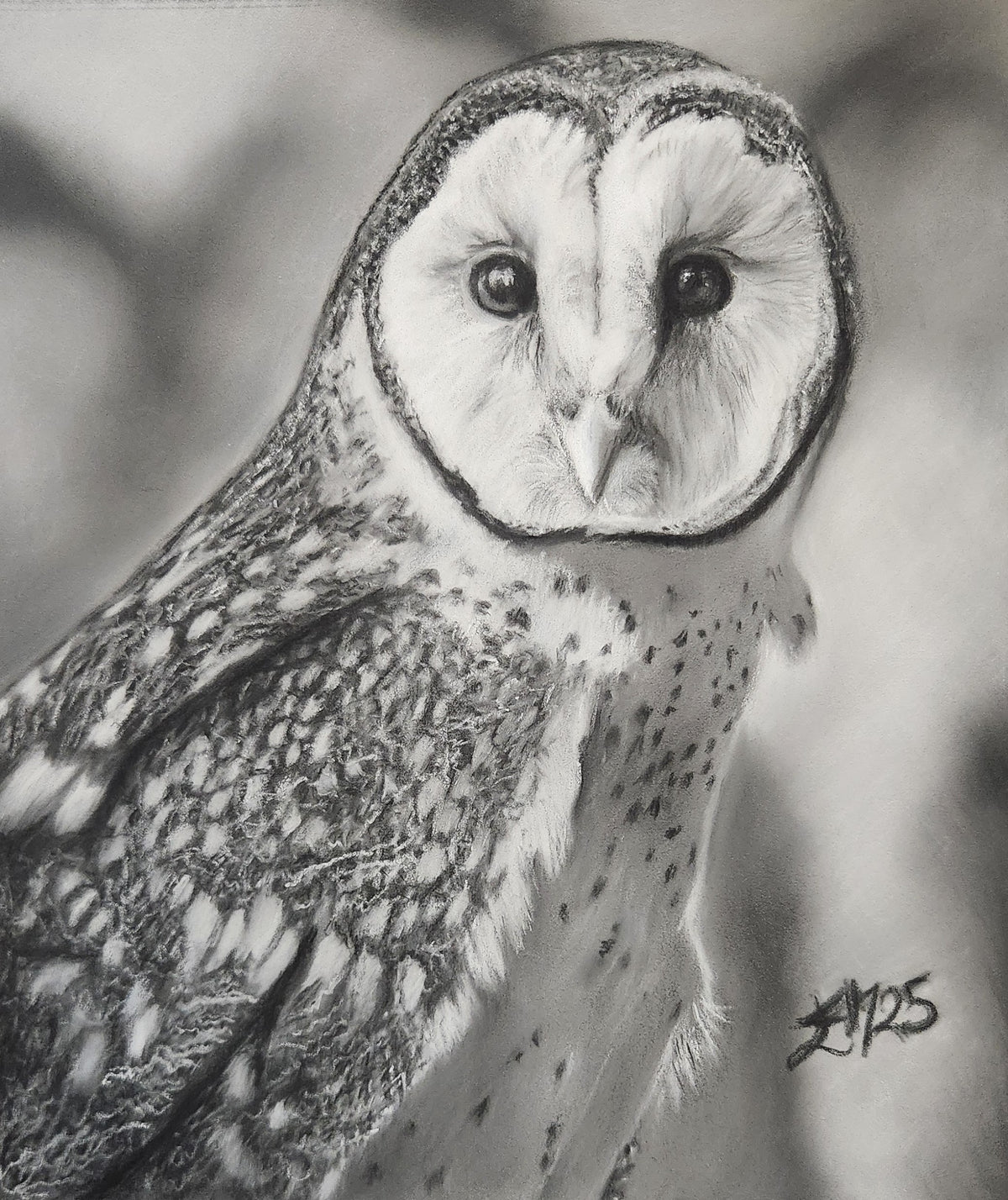 SOLD Barn Owl illustration in Pastels
