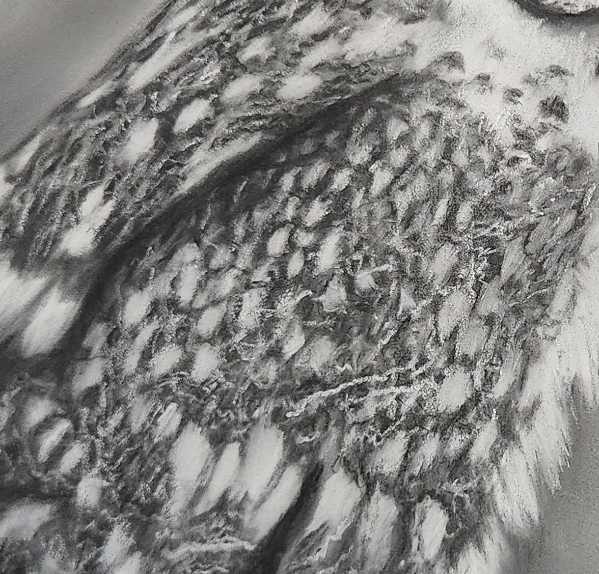 SOLD Barn Owl illustration in Pastels