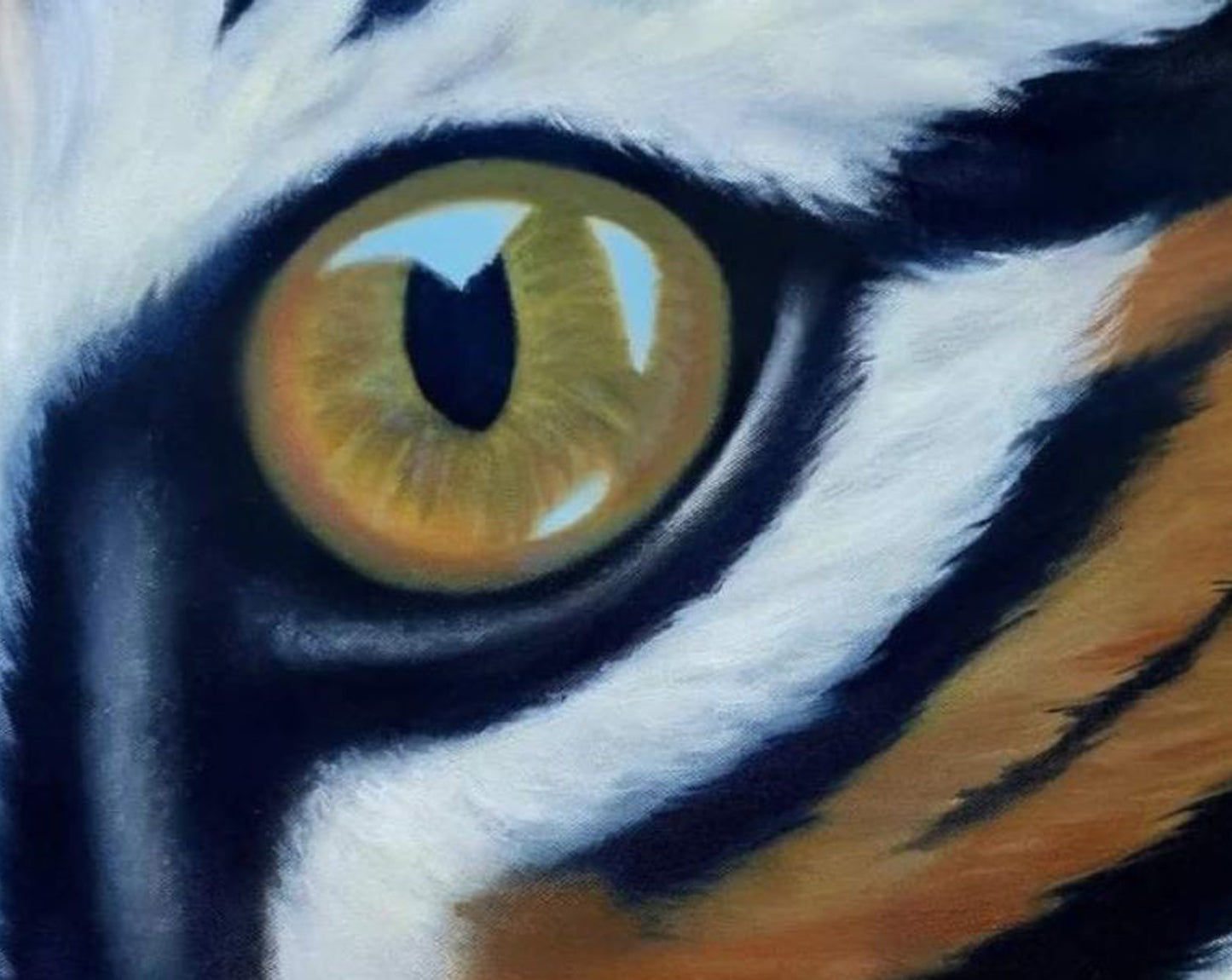 Eye of the Tiger