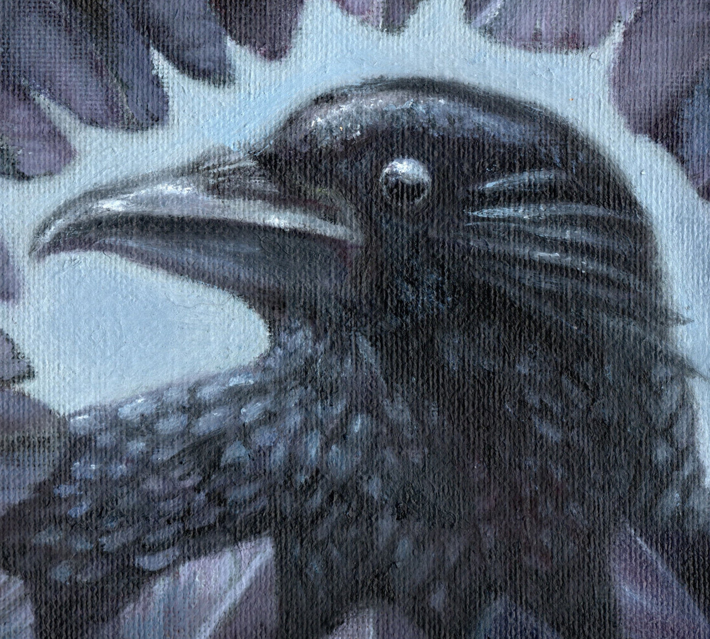 Feather of a Crow